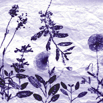 Stage : Tataki Zomé