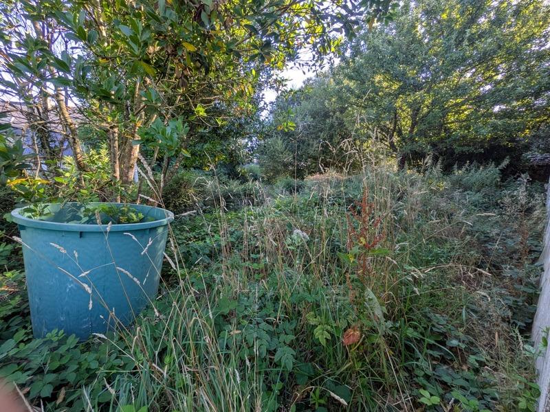 Maison de campagne - 55 m² - 2 pièces