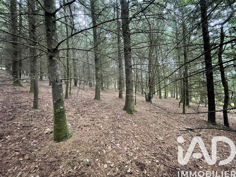 Terrain - 121 370 m²