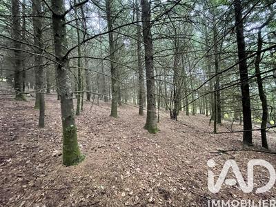 Terrain - 121 370 m²