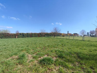 Terrain - 1 315 m²