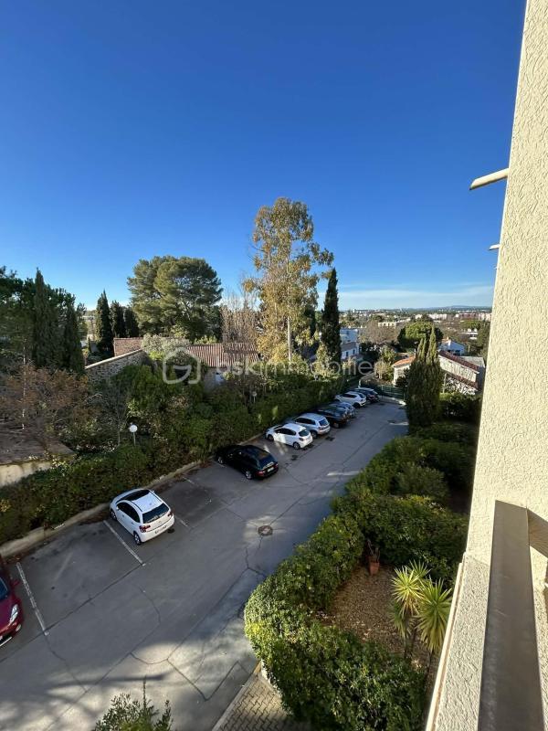 Studio - 28 m² - 1 pièce