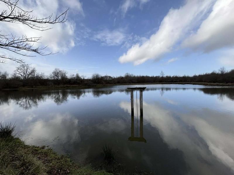 Étang - 123 995 m²