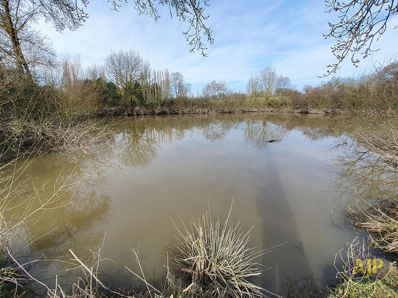 Terrain - 11 502 m²