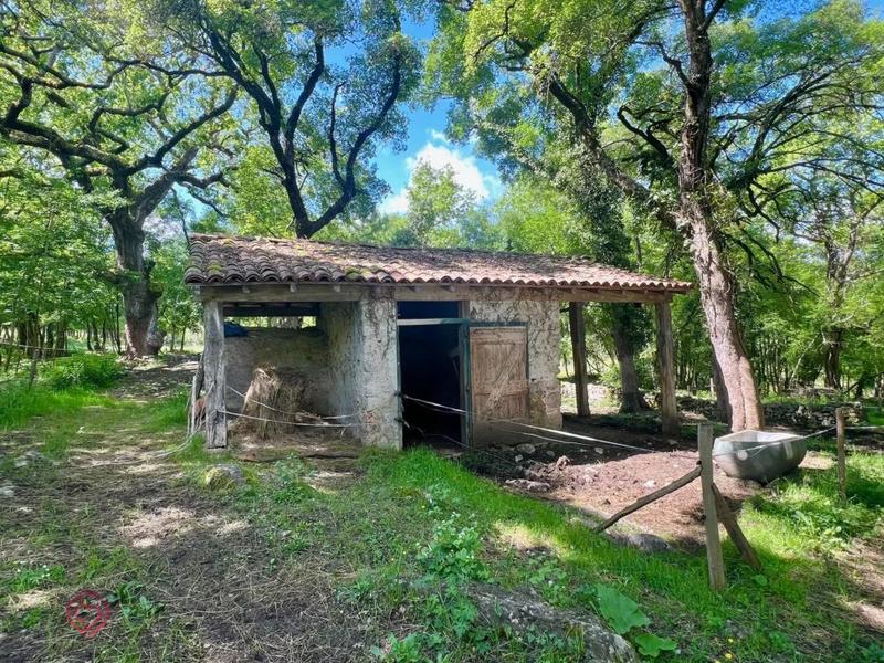 Ferme - 300 m² - 8 pièces