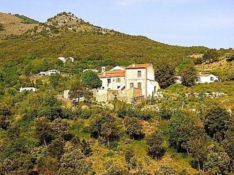 Mas - 302 m² - 12 pièces