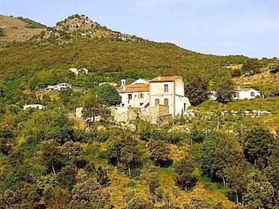 Mas - 302 m² - 12 pièces