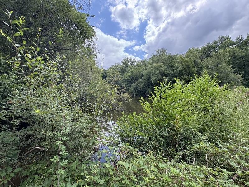 Terrain constructible - 41 380 m²