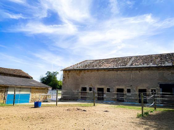 Corps de ferme - 297 m² - 9 pièces