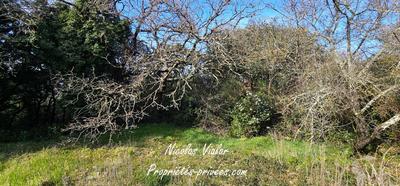 Terrain constructible - 1 309 m²