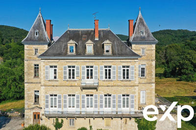 Château - 460 m² - 14 pièces