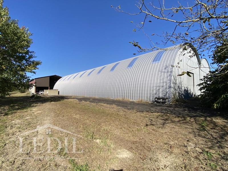 Local commercial - 1 750 m² - 3 pièces