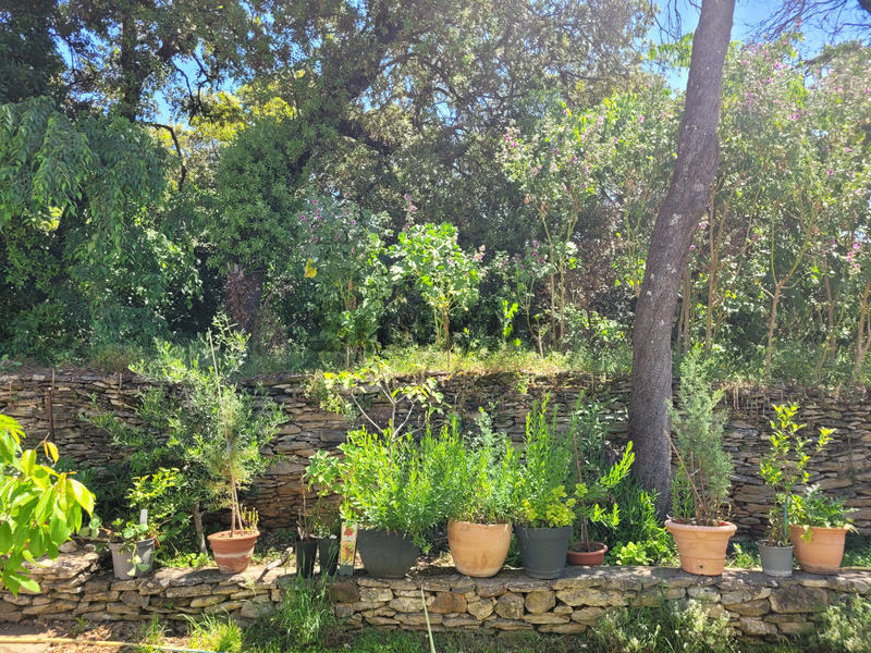 Villa - 120 m² - 6 pièces