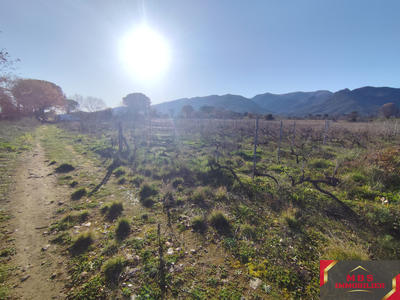 Terrain agricole - 18 000 m²