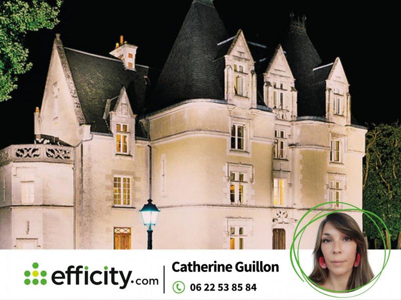 Château - 5 000 m² - 76 pièces