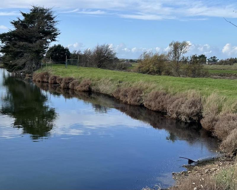 Terrain - 11 140 m²