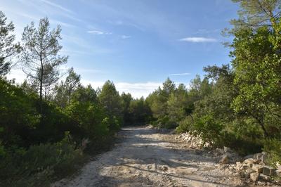 Terrain de loisirs - 1 530 m²