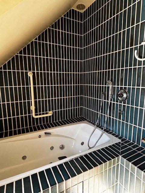 Duplex - 219 m² - 7 pièces