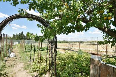 Maison - 186 m² - 5 pièces