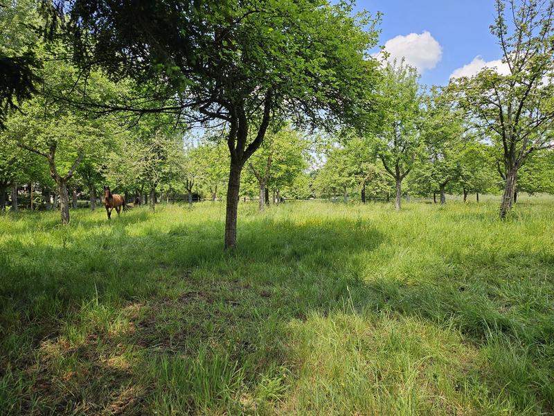 Maison traditionnelle - 176 m² - 7 pièces