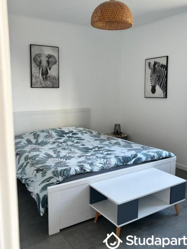 Appartement - 55 m² - 3 pièces