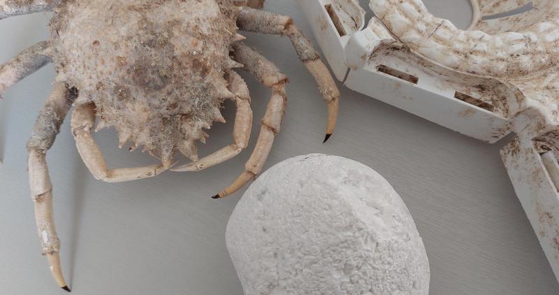 Mini-visite - les objets insolites