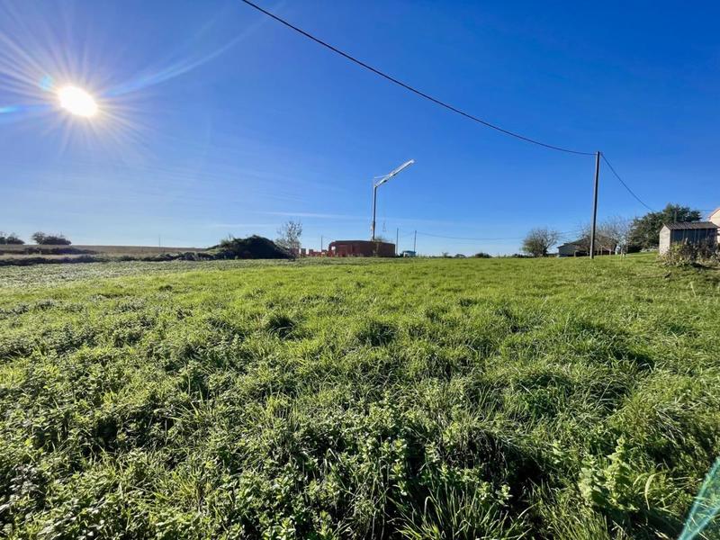 Terrain - 11 232 m²