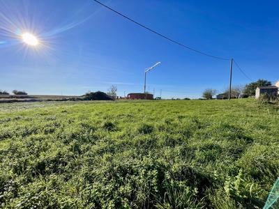 Terrain - 11 232 m²