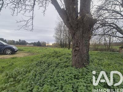 Maison de campagne - 140 m² - 5 pièces