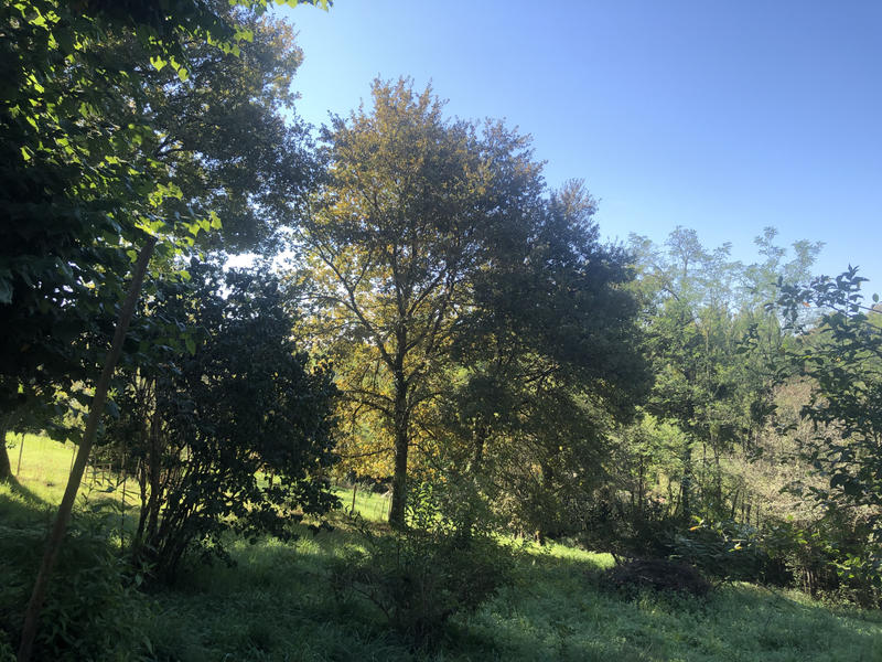 Maison de village - 60 m² - 4 pièces