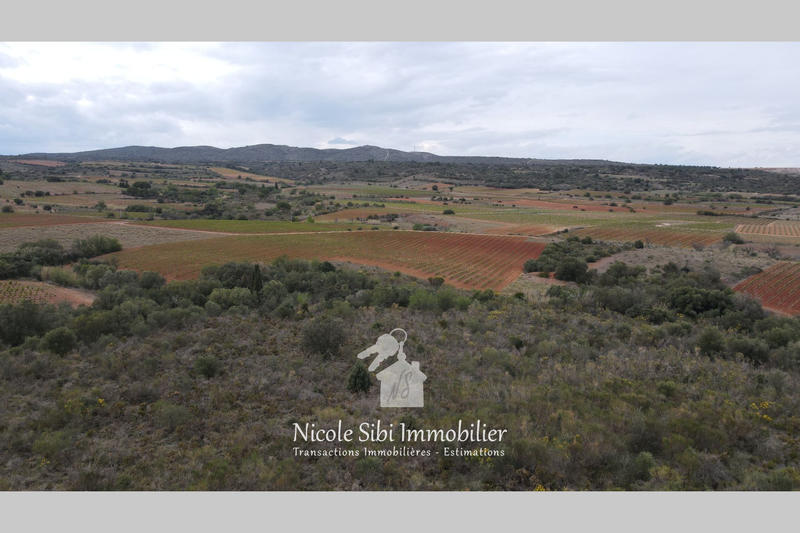 Terrain agricole - 13 475 m²