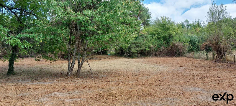 Maison - 125 m² - 1 pièce