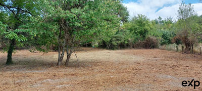 Maison - 125 m² - 1 pièce