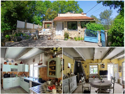 Viager - Maison - 97 m² - 4 pièces