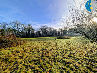 Terrain - 20 680 m²