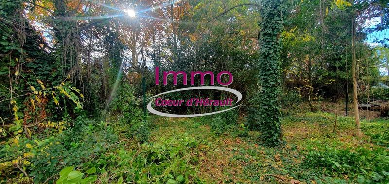 Maison ancienne - 56 m² - 2 pièces