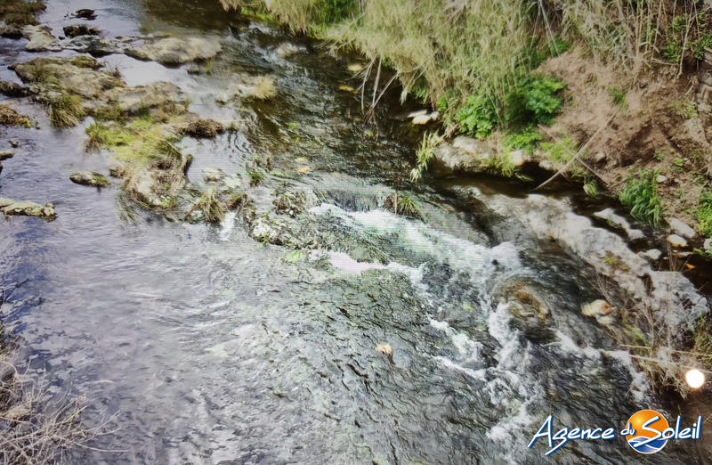 Terrain agricole - 4 000 m²