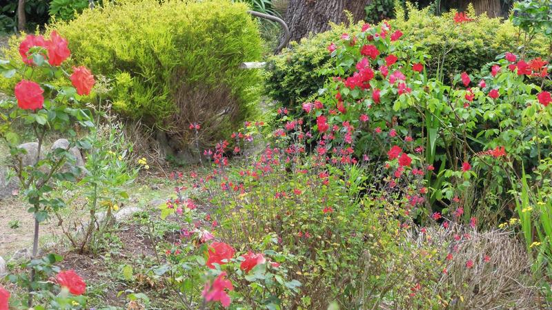 Maison - 256 m² - 10 pièces