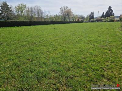 Terrain - 3 010 m²