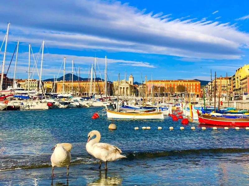 Studio - 22 m² - 1 pièce