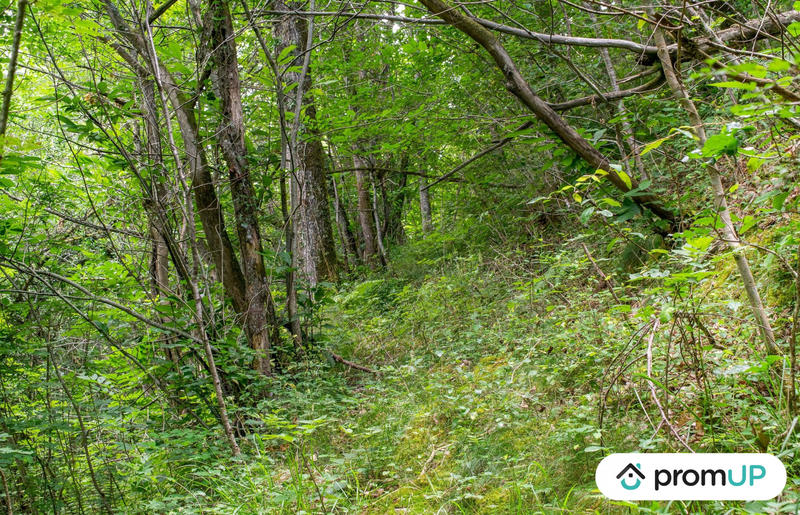 Terrain de loisirs - 5 300 m²