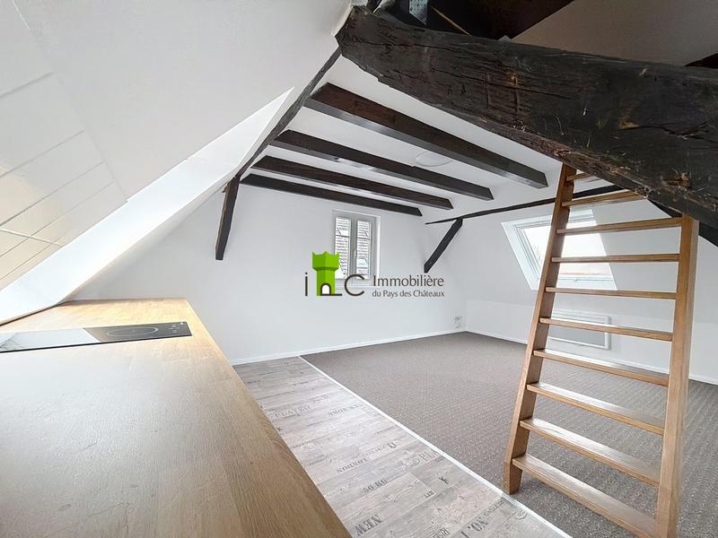 Appartement - 19 m² - 1 pièce