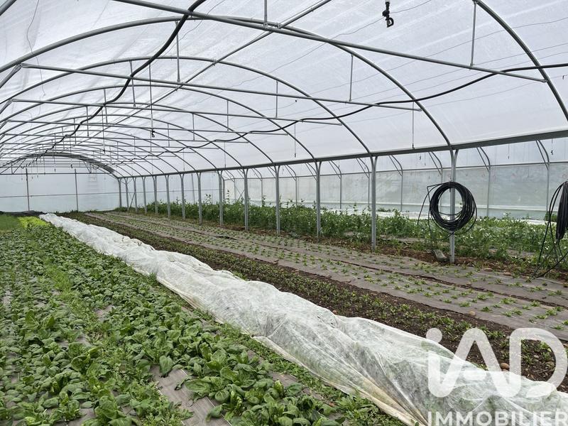 Maison - 160 m² - 5 pièces