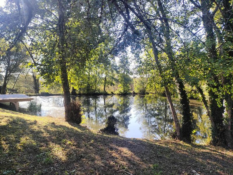 Maison - 131 m² - 5 pièces