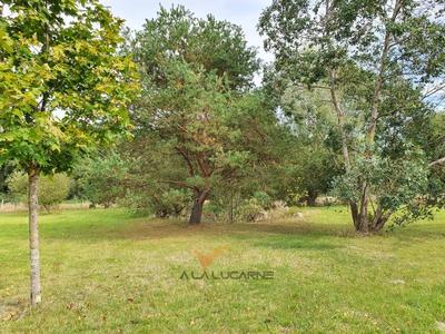 Maison - 355 m² - 14 pièces