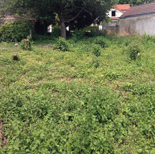 Terrain constructible - 402 m²