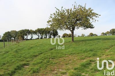 Maison - 111 m² - 5 pièces