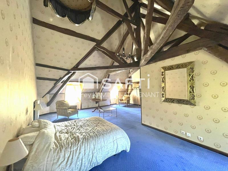 Maison de maîtres - 375 m² - 11 pièces