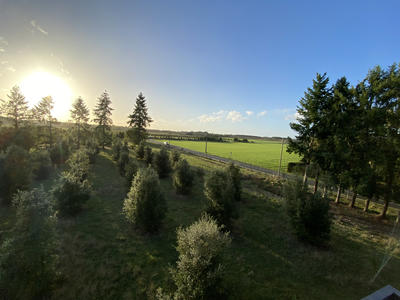 Terrain - 800 m²
