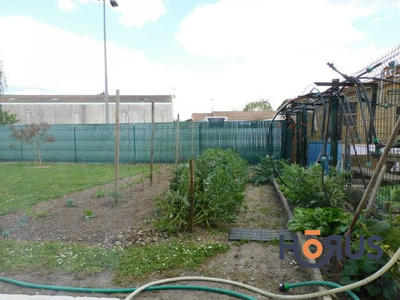 Viager - Maison - 85 m² - 4 pièces